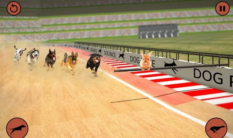 Mẹo tăng tỷ lệ thắng trong game Đua Chó tại W88